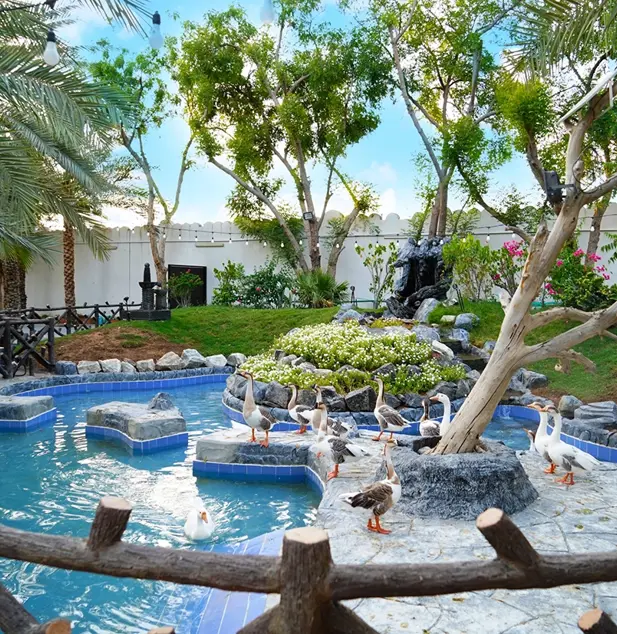 DSC08511 Scaled Copy