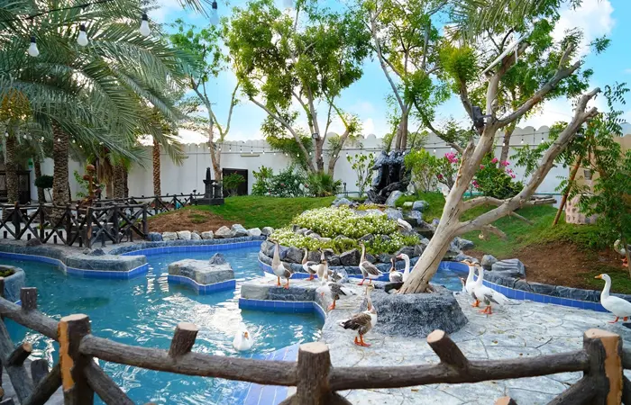 DSC08511 Scaled Copy