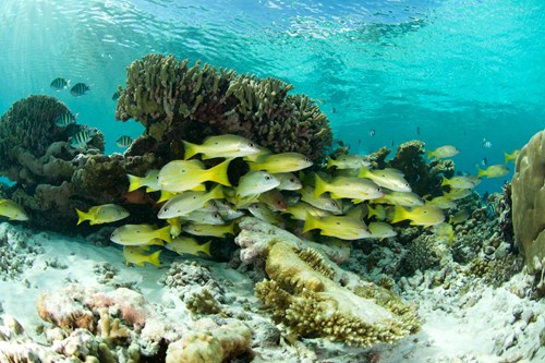 Umbraco.Cms.Core.Models.MediaWithCrops`1[Umbraco.Cms.Web.Common.PublishedModels.Image]??.Name