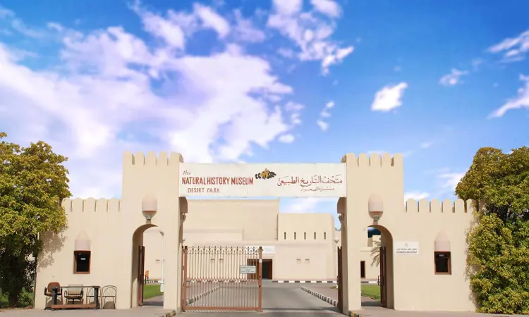 12 Natural History Copy