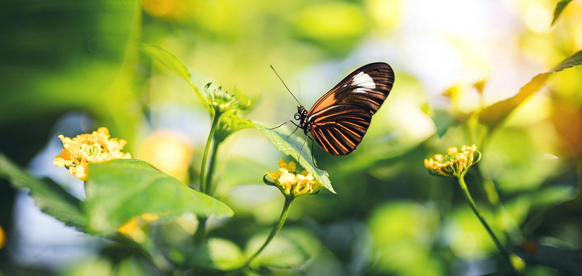 Umbraco.Cms.Core.Models.MediaWithCrops`1[Umbraco.Cms.Web.Common.PublishedModels.Image]??.Name