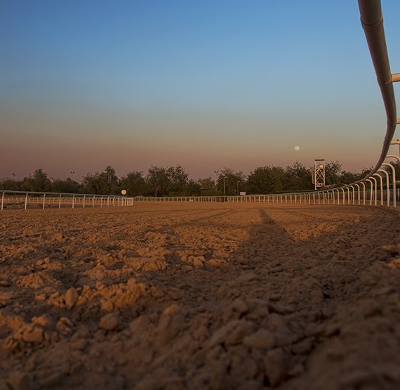 Umbraco.Cms.Core.Models.MediaWithCrops`1[Umbraco.Cms.Web.Common.PublishedModels.Image]??.Name