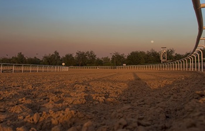 SHJ Equestraian Racing2