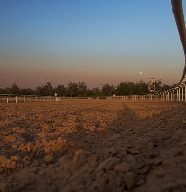 SHJ Equestraian Racing2