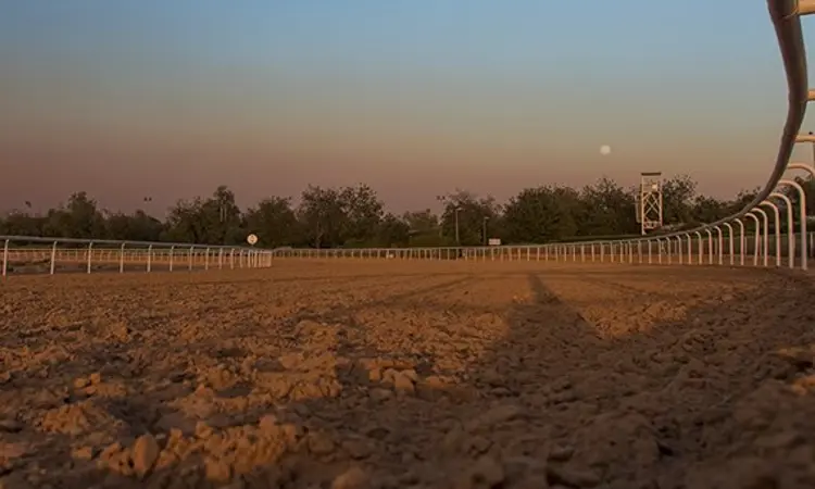 SHJ Equestraian Racing2