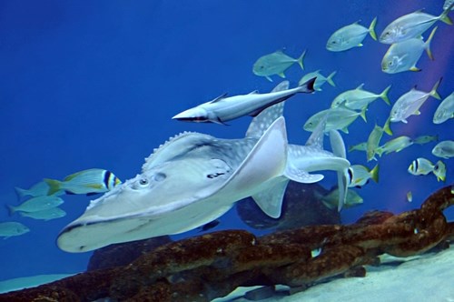 Umbraco.Cms.Core.Models.MediaWithCrops`1[Umbraco.Cms.Web.Common.PublishedModels.Image]??.Name