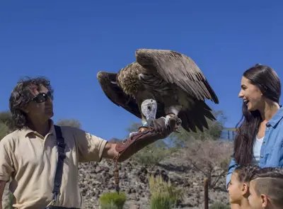 Центр хищных птиц в Кальбе