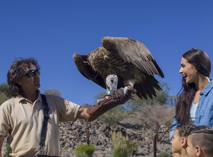 Kalba Birds of Prey Centre