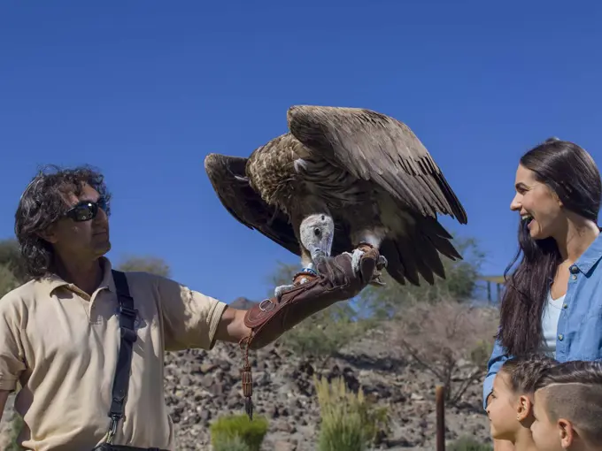 Kalba Birds of Prey Centre