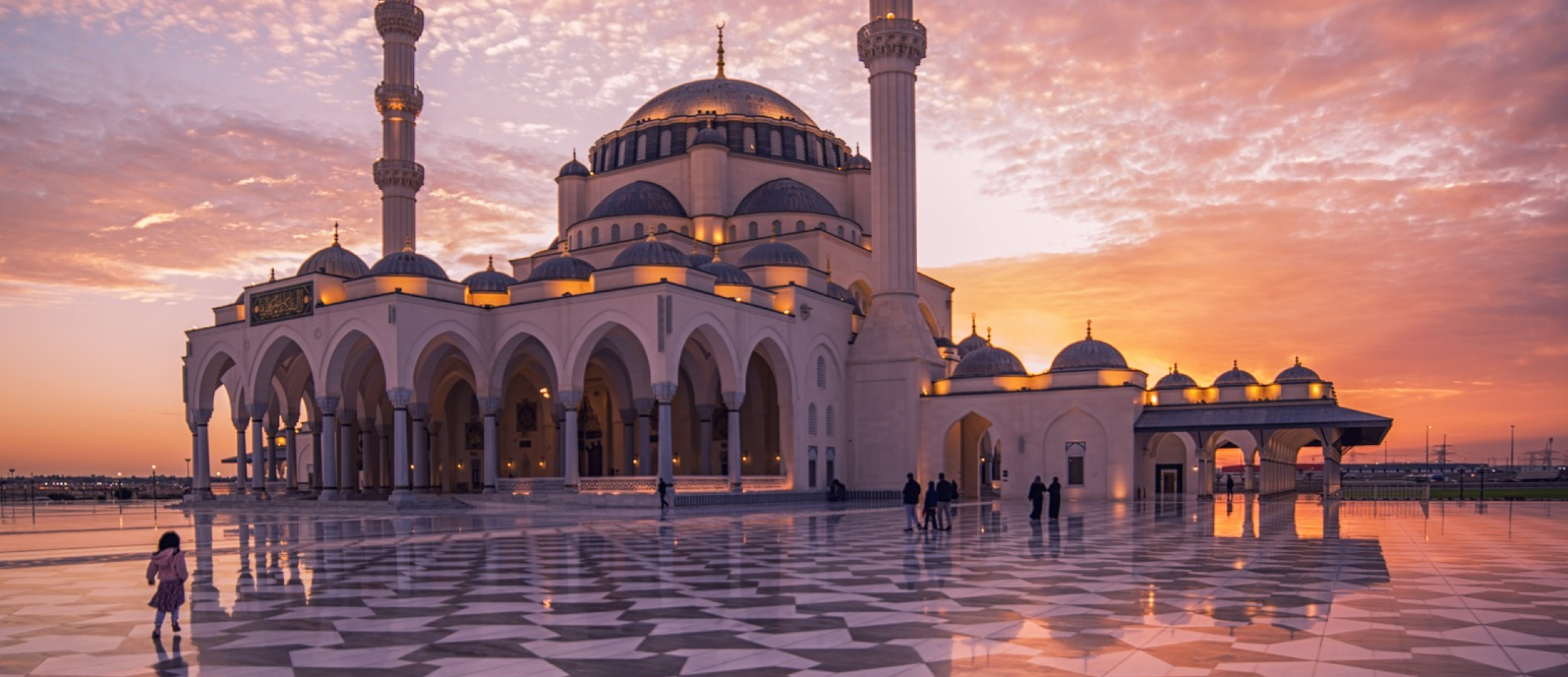 Wildlife in Sharjah (1)