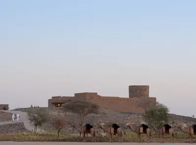Al Dhaid Fort
