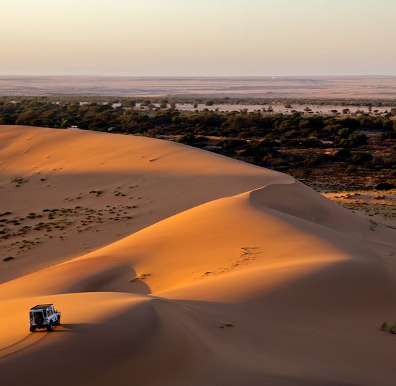 Umbraco.Cms.Core.Models.MediaWithCrops`1[Umbraco.Cms.Web.Common.PublishedModels.Image]??.Name