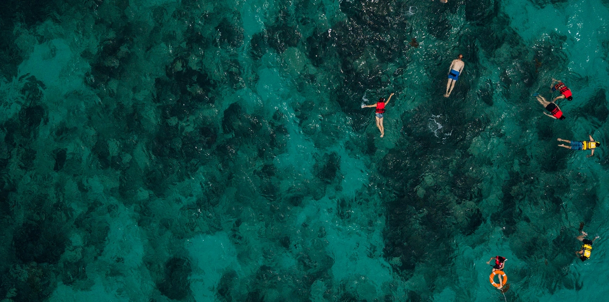 Snorkeling at the Coral Farm